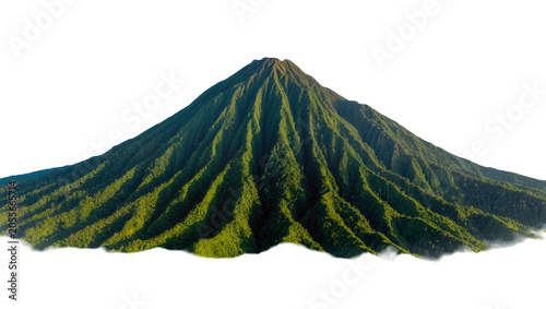 Lush green volcanic mountain peak covered in dense vegetation, isolated on transparent background