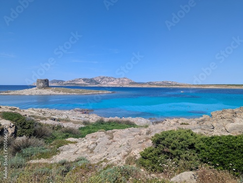 Coletania Sardegna 2025