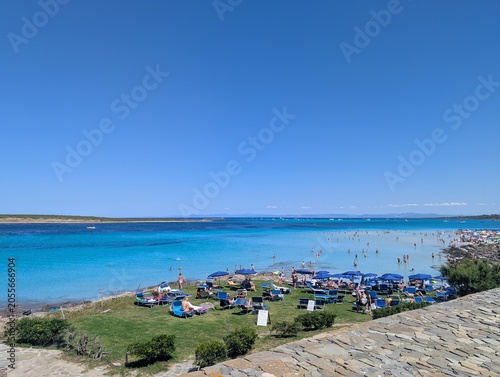 Coletania Sardegna 2025
