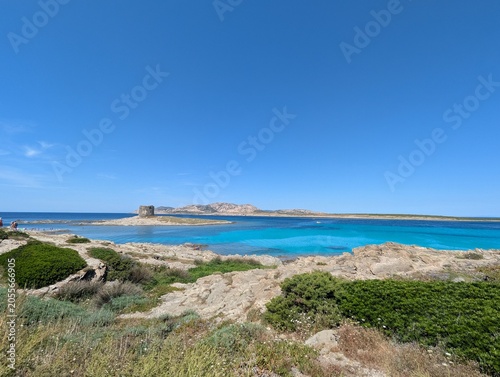 Coletania Sardegna 2025