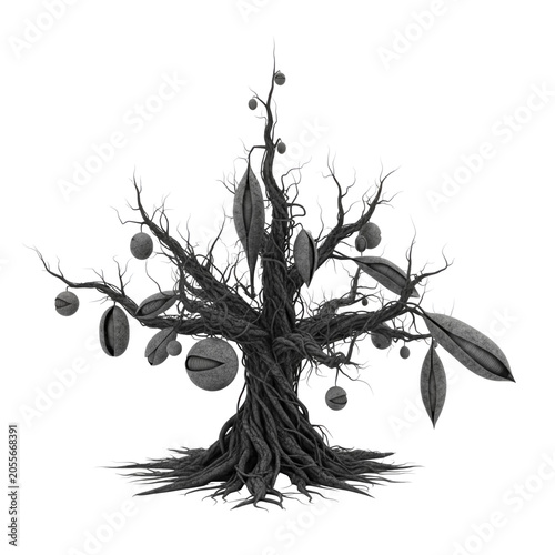 A tree with roots and branches and leaves and fruits isolated on transparent background, PNG