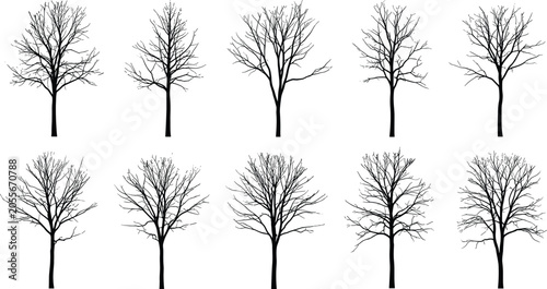 Konstfotografi Leafless tree silhouette illustration set, winter forest artwork collection, nat