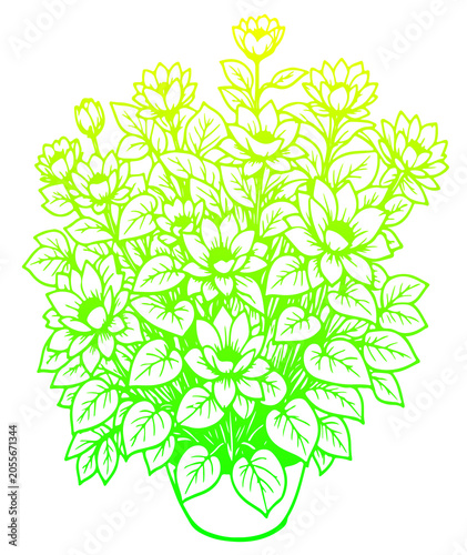 green tree with flowers