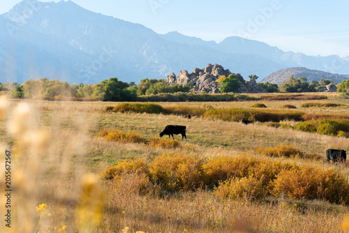 Alabama Hills California