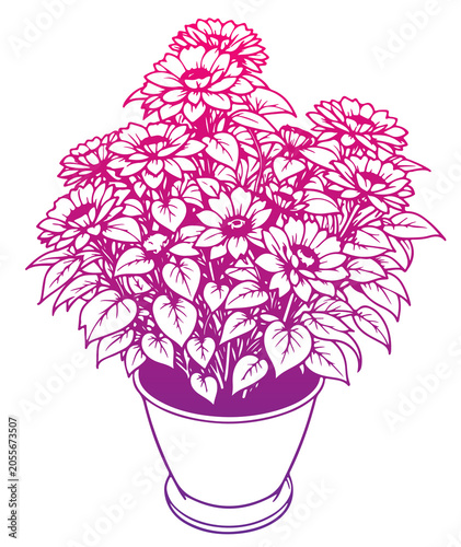 bouquet of pink roses
