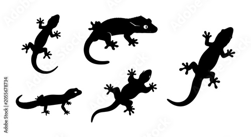 Vászonkép Black Gecko Silhouettes Vector Set, Reptile Icons Collection, Lizard Wildlife Gr