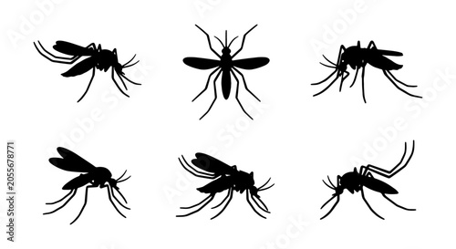 Cuadro en lienzo Mosquito Silhouettes Vector Icons Set, Insect Danger Symbol Collection, Bloodsuc