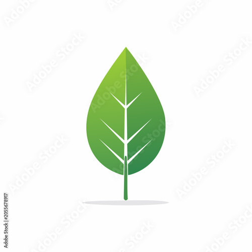 Green Leaf Icon