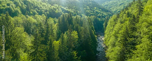 Panel kuchenny z motywem Beautiful Sunrise In Sunny Spring Forest with River
