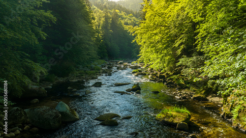 Obraz na płótnie Beautiful Sunrise In Sunny Spring Forest with River