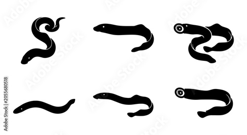 Photos Set of Six Black Vector Silhouettes of Leeches and Eels, Aquatic Life Illustrati