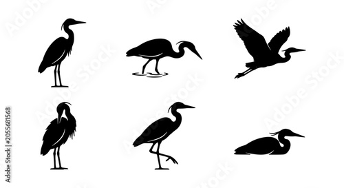 Canvastavla Heron Bird Silhouettes Collection: Elegant Wading Birds in Various Poses, Vector