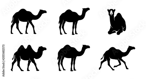Fotografija Camel Silhouettes Collection, Desert Animal Icons, Dromedary and Bactrian Vector
