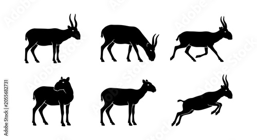 Εκτύπωση καμβά Goat Silhouettes Collection: Diverse Poses of Farm Animals, Wildlife, and Livest
