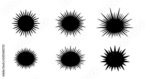 Photos Black Sea Urchin Icons, Marine Life Vector Graphics, Spiky Echinoderm Silhouette