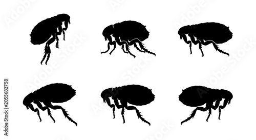 Canvas Print Six Black Flea Silhouettes, Insect Vector Icons, Pest Control Graphics, Parasite
