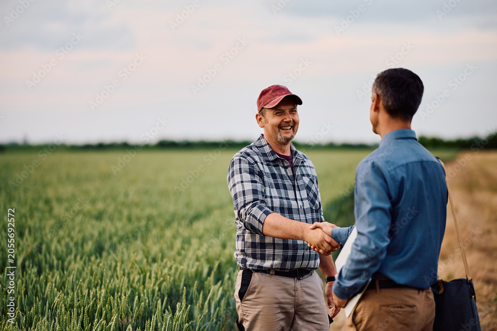 Fototapeta premium Happy mature farmer handshaking with insurance representative while standing in field.