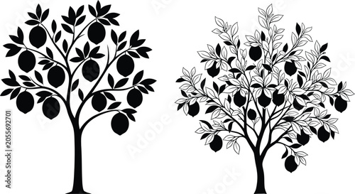 Lemon tree vector illustration set black silhouette and line art designs