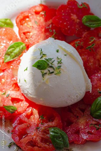 Caprese salad variation with gourmet burrata cheese, organic tomatoes, and herbs