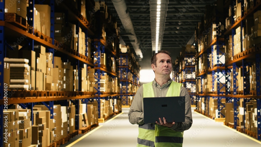 Fototapeta premium Warehouse staff member in facility checking pallets and packages, monitoring distribution on laptop, inventory tracking and workflow planning improve.