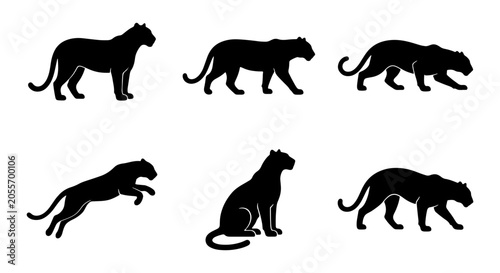 Photography Black Panther Silhouettes Collection: Wild Cat Poses, Feline Vector Graphics, Bi