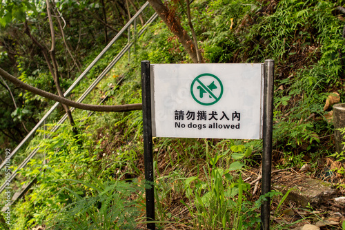 Obraz na plátně No dogs allowed sign in lush green forest area with hillside stairway in backgro