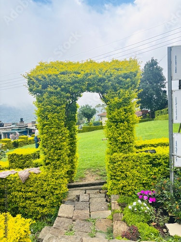 Hedge Archway in Garden Landscape
