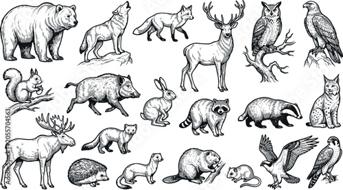 Black and white animal illustrations