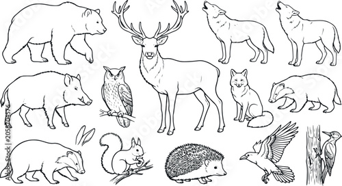 Black and white illustration of various forest animals and wildlife