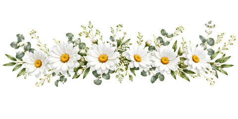 Elegant white daisy flowers horizontal garland border isolated on transparent background