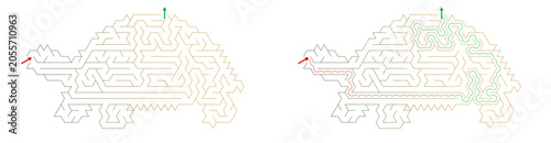 Turtle Labyrinth Game Challenge
