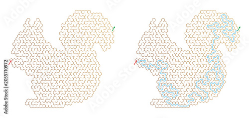 Squirrel Maze Challenge with Answer Path