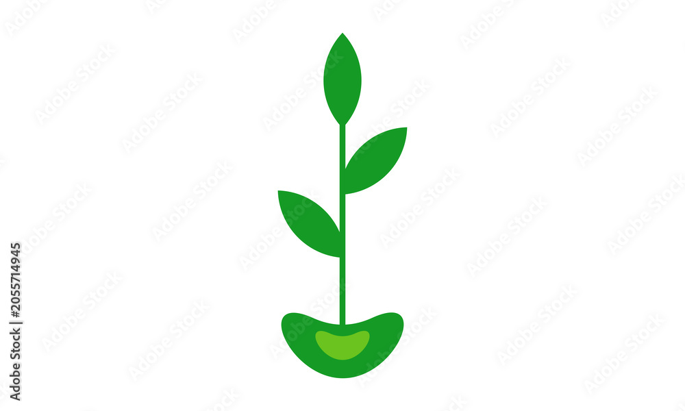 Fototapeta premium seed plant logo design