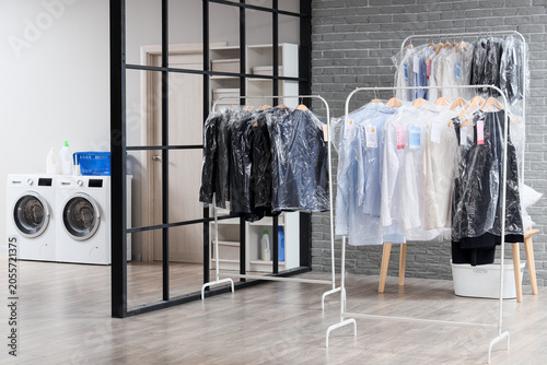 Professional dry cleaning s...