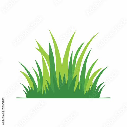Green Grass Illustration