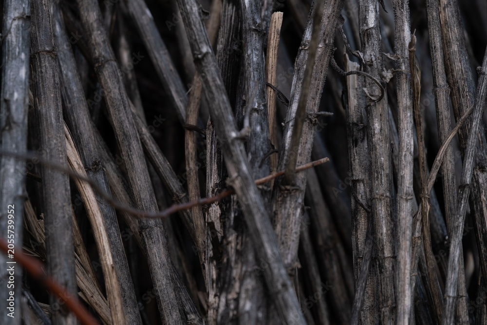Fototapeta premium Natural Dry Branch Texture Background with Interwoven Twigs