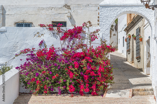 Archway and bougainvillea in old town of Arcos de la Frontera, Spain