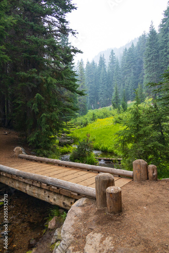 Bridge on the Castle Crest Wildflower Trail, Crater Lake National Park, Oregon