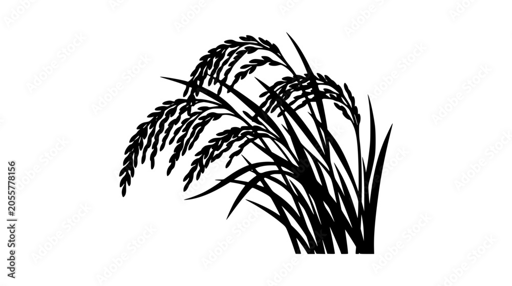 Fototapeta premium Black silhouette of rice plant stalks with heavy grains