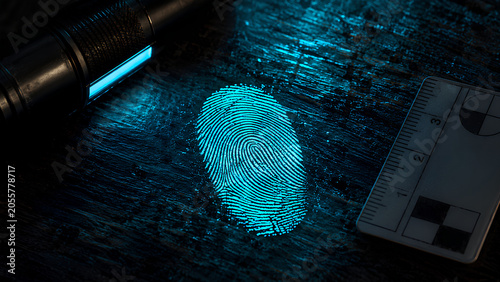 Digital Fingerprint Scan Technology – Biometric Security Authentication Background