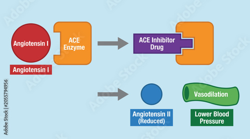 Foto Angiotensin-Converting Enzyme Inhibitor Drug Mechanism Vector