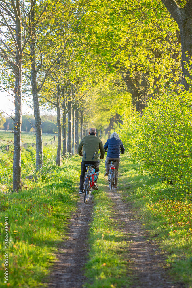 Fototapeta premium couple on bicycle on dirt road between spring trees in the netherlands