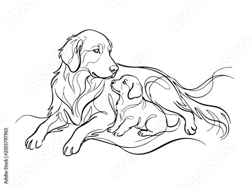 Golden Retriever Mother and Puppy Lying Together, Minimalist Continuous Line Art, Flowing Fur Loving Bond Drawing. Vector Art.