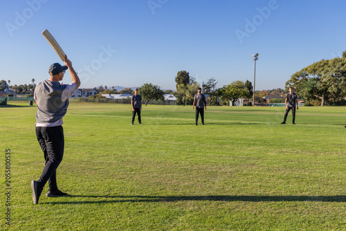 Fényképezés Male team playing cricket at park in caps, vests, batsman holding raised cricket