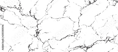 Vászonkép Black and white cracked asphalt texture with granular detail broken grunge Vintage grunge paper texture isolated