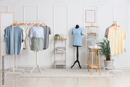 Modern clothing store inter...