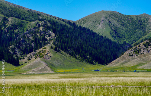 Xinjiang, China Sailimu Lake Blue Lake and Snow Mountain Forest.