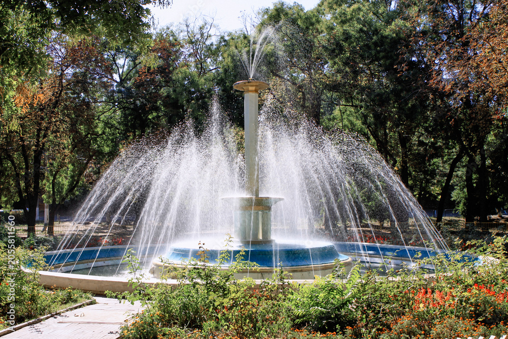Fototapeta premium A decorative fountain sprays shimmering water high above colorful flowerbeds in a landscaped city park surrounded by mature trees. Bright summer sunlight, lush greenery, and carefully gardens