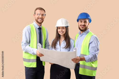 Group of engineers with hou...