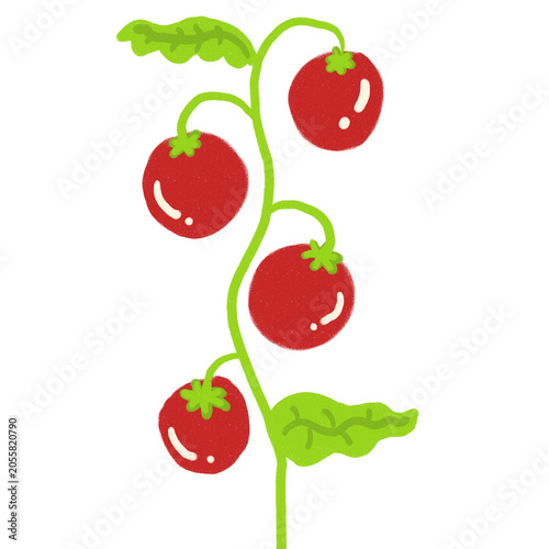 Hand Drawn Tomato Tree Garden Illustration